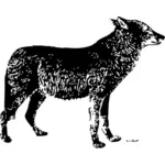 Osamělý vlk vektorové ilustrace